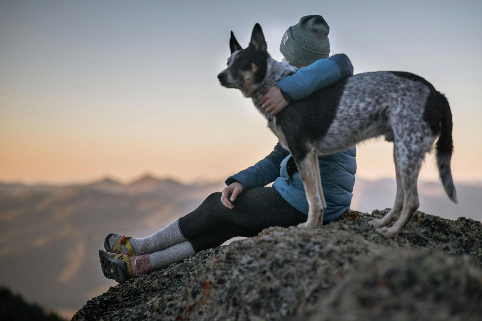 Specialist Vets in Helena